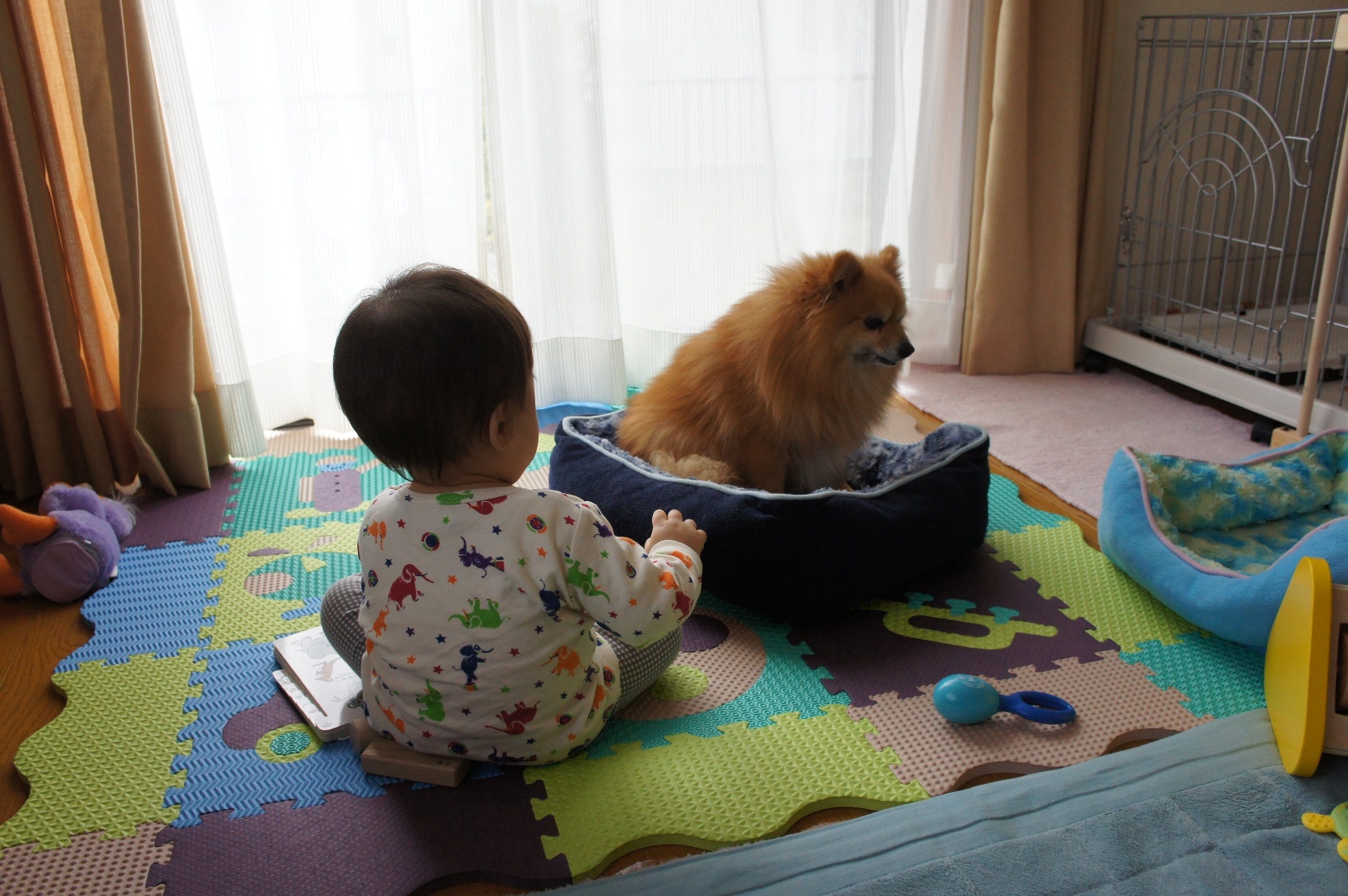 DSC08208.JPG