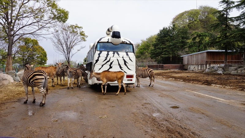 20150420 11132701.JPG