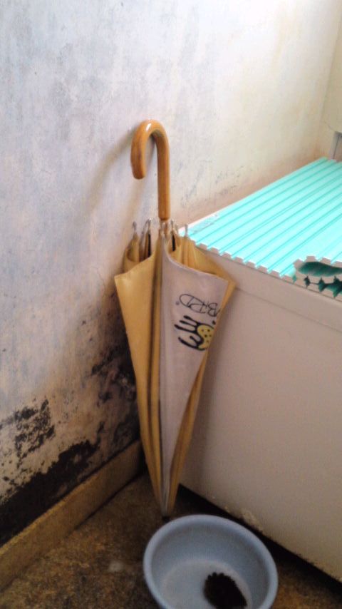 mini_160130_1039.jpg