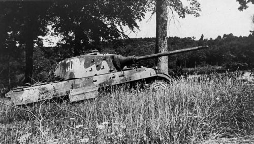 Tiger_2_tank_43.jpg
