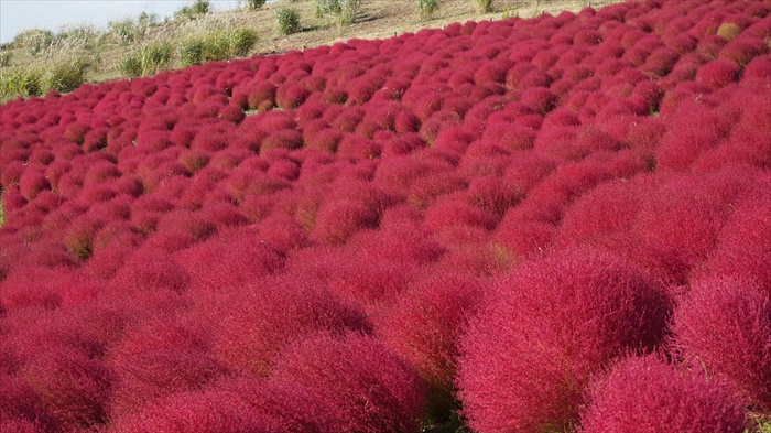 20151014 14170101.jpg