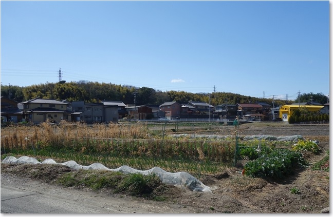 93露地栽培の畑