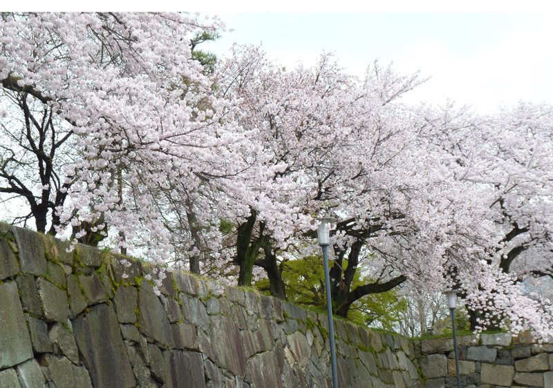 nagoyajyo-w003.jpg