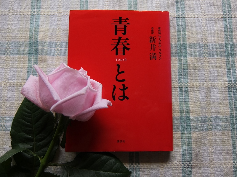 DSCF6093 (800x600).jpg