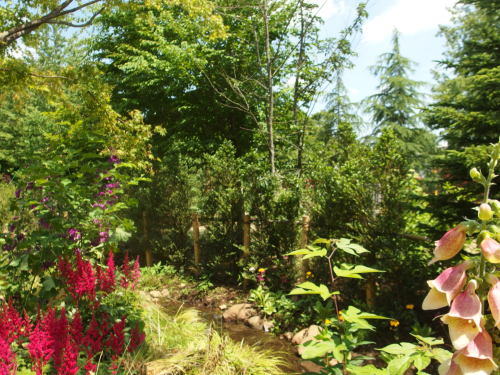 2015-06-10 12.29.26.jpg