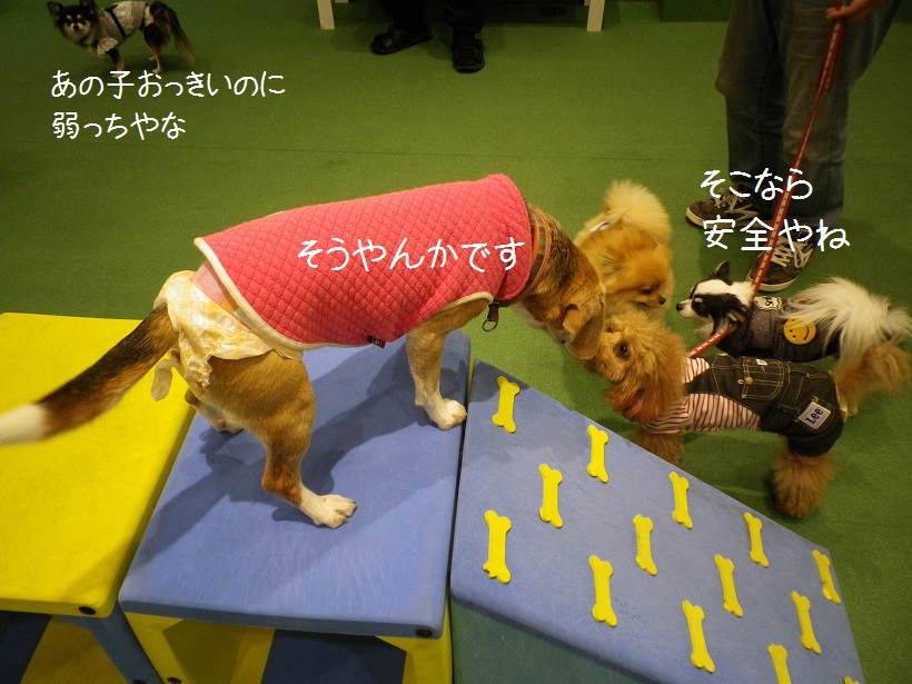 IMGP4589.JPG