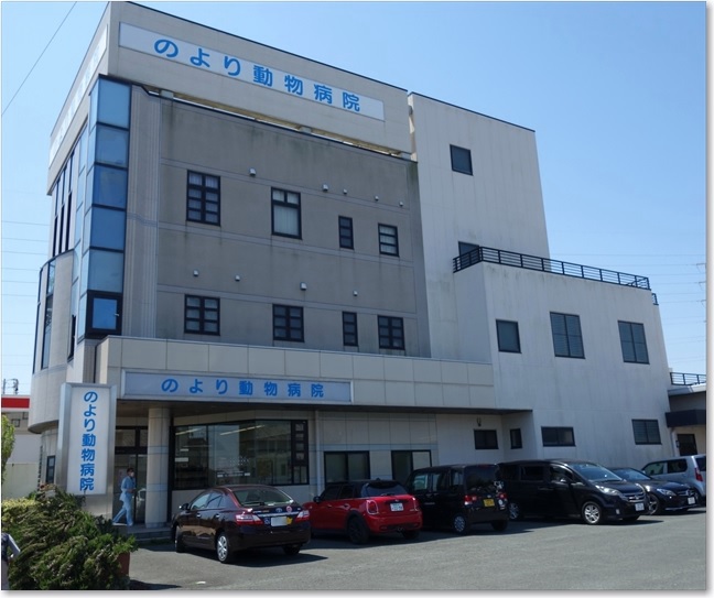 36のより動物病院
