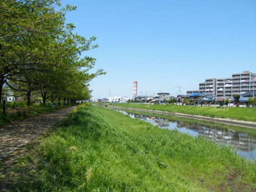 20100425-12.jpg