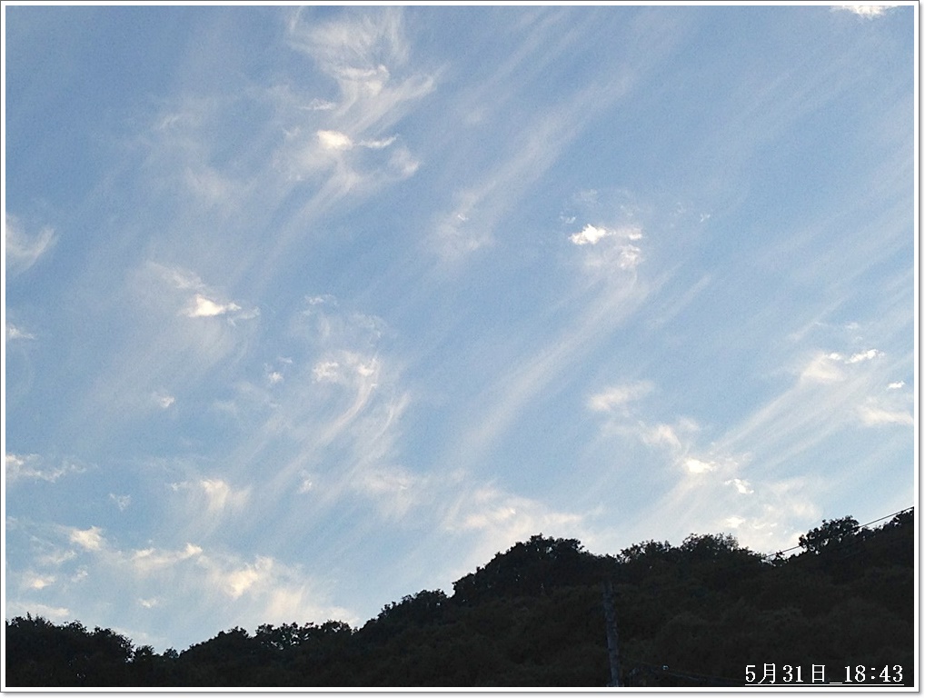 空_2015-05-31_18-43-33.JPG