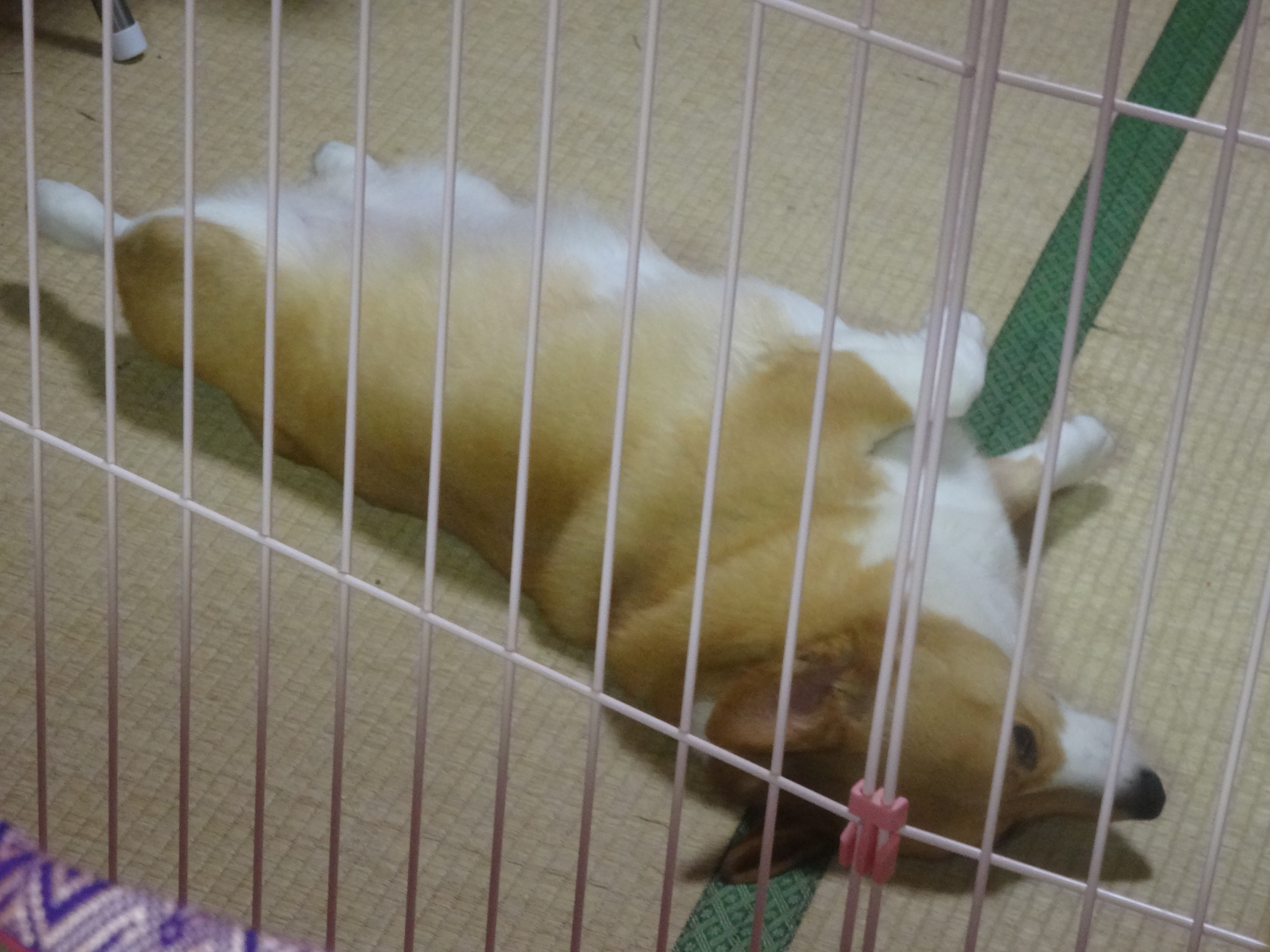 DSC00081.JPG