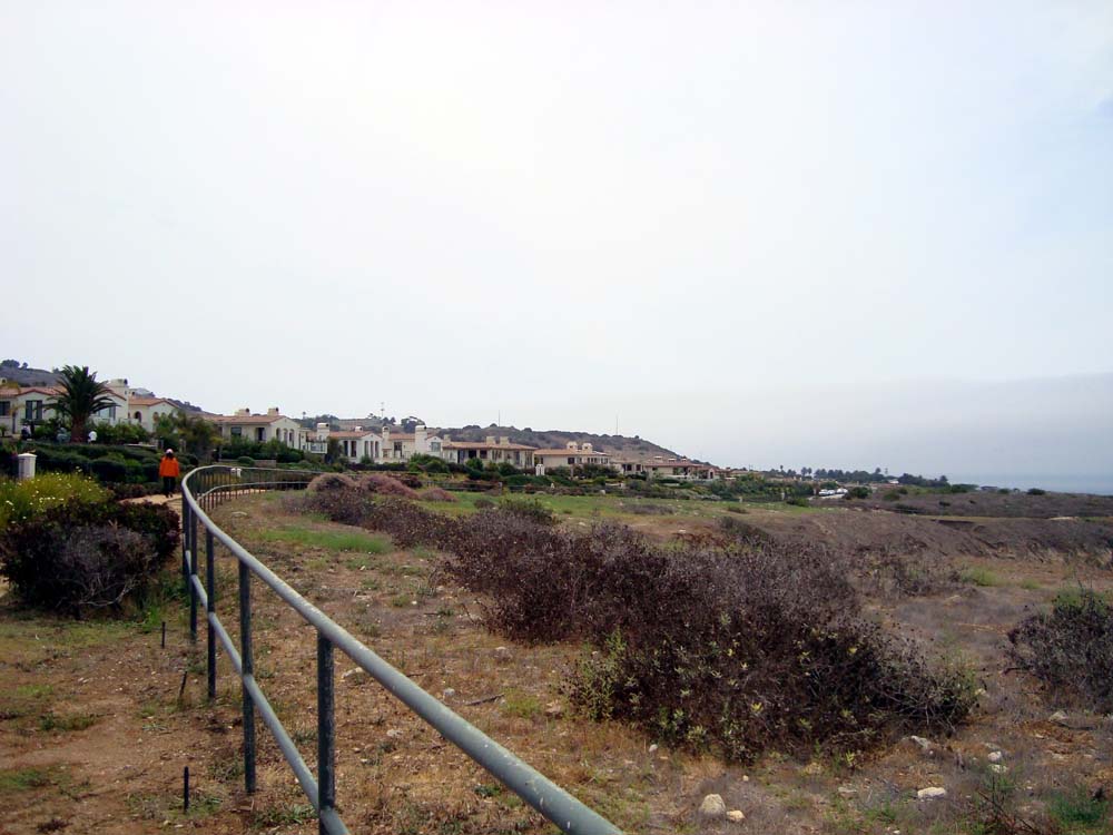 DSC02207.JPG