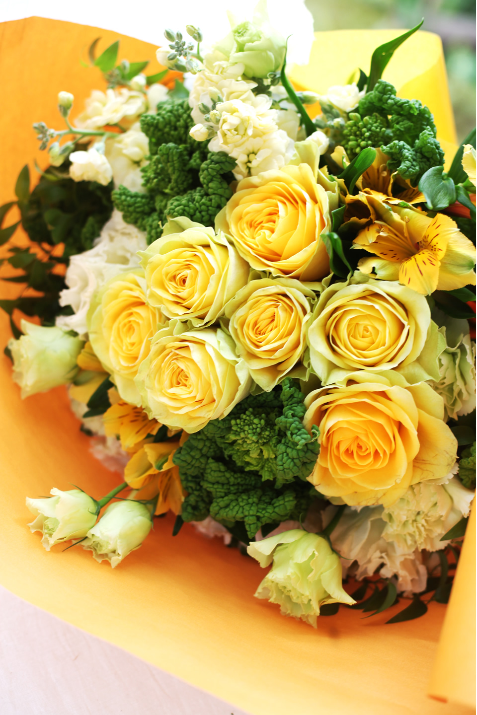 yelloworange8800-82.jpg