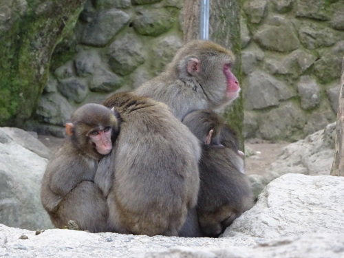 カラオケ もう一人は誰？.JPG