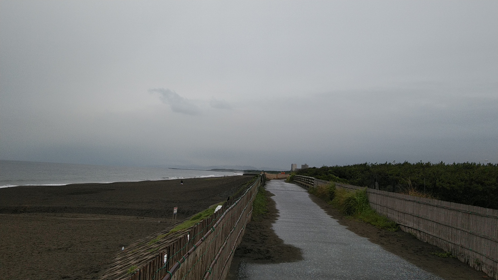 20190715  DSC_0002.jpg.jpg