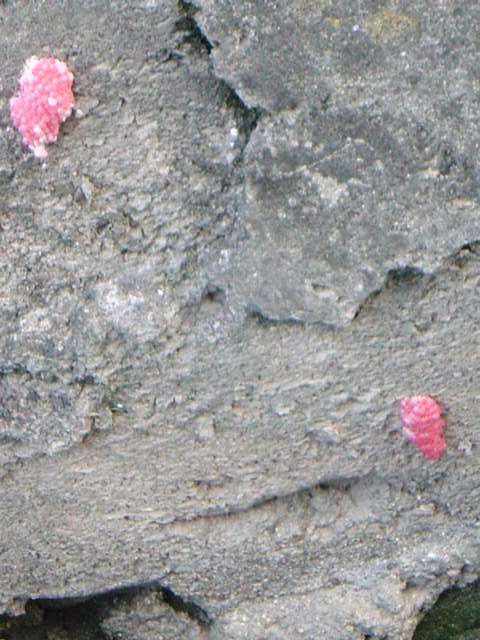 DSC09705.JPG