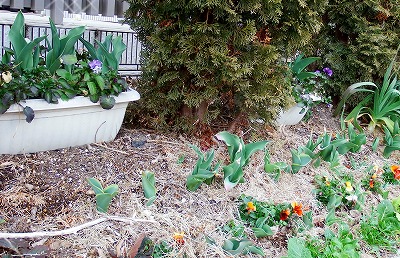 DSCF2276.jpg