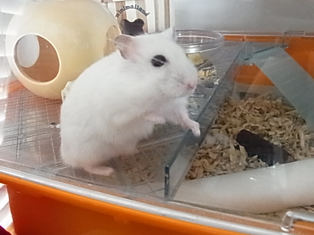 2014_06300052.JPG
