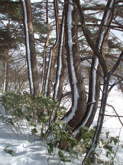 DSCF4617.jpg