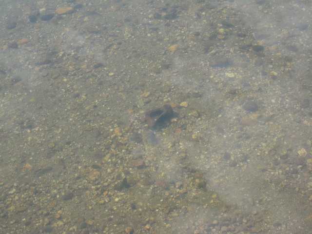 IMG_4009.jpg
