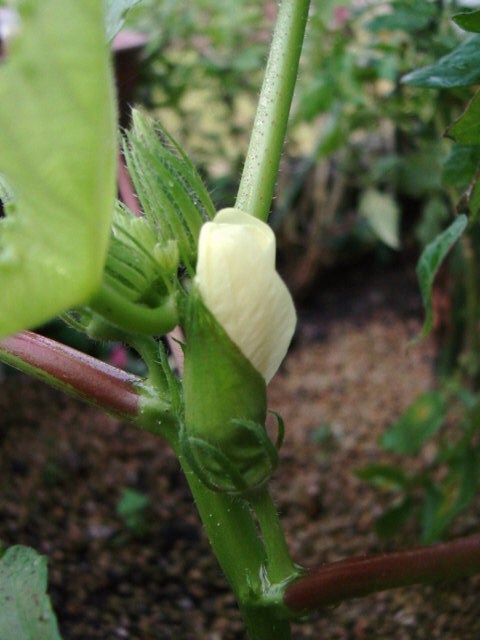 DSC09190.JPG