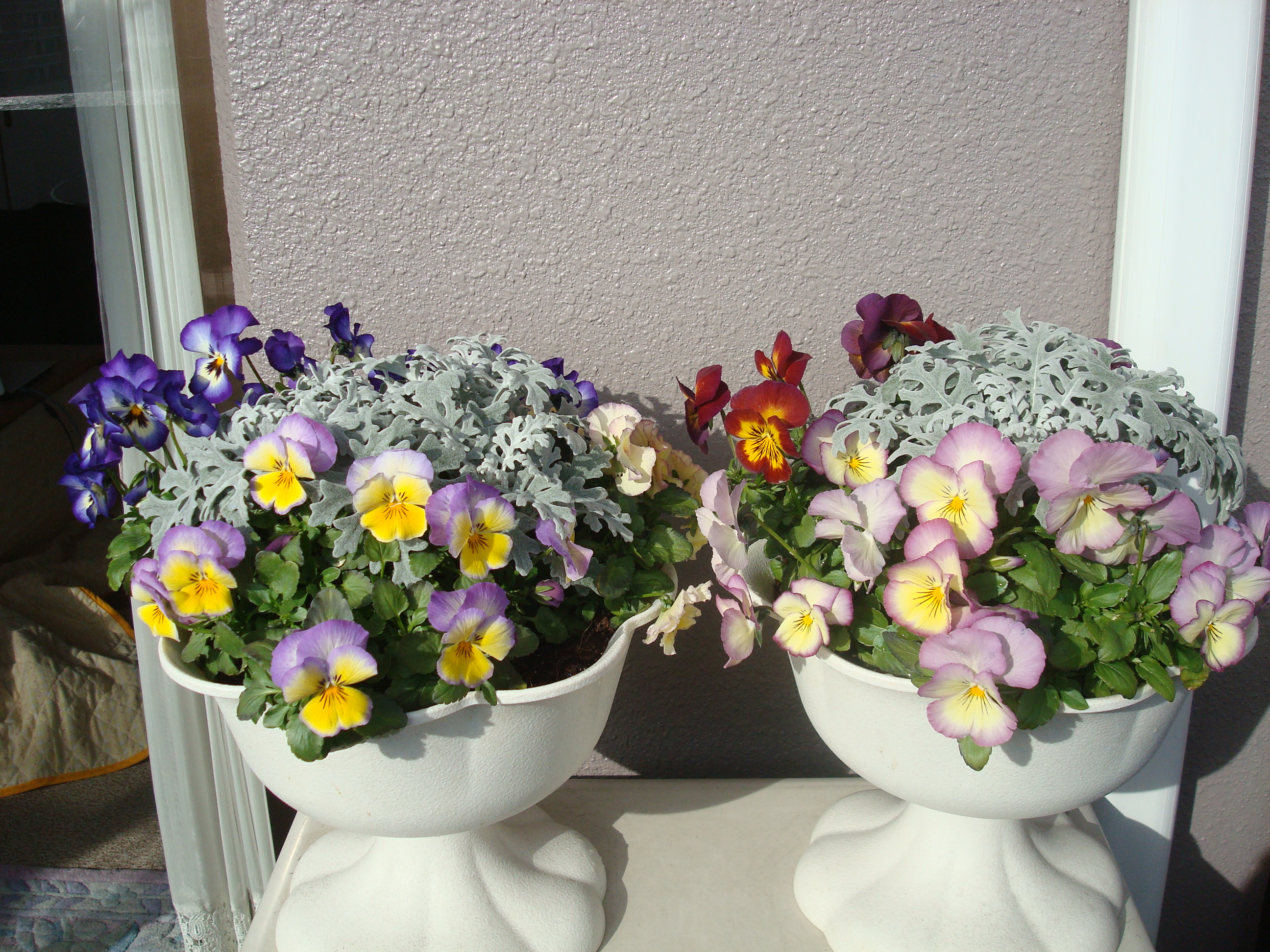 DSC06213.JPG
