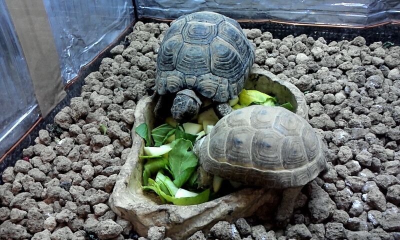 2012_02_28_09_47_05.jpg