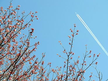 140306-02.jpg