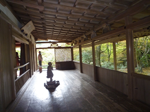 P1030412.jpg