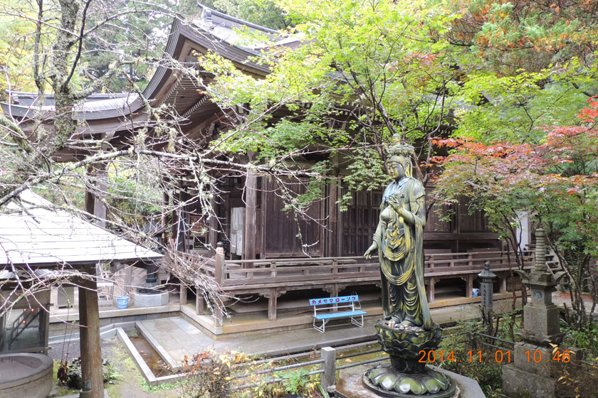 DSCN2109w.jpg