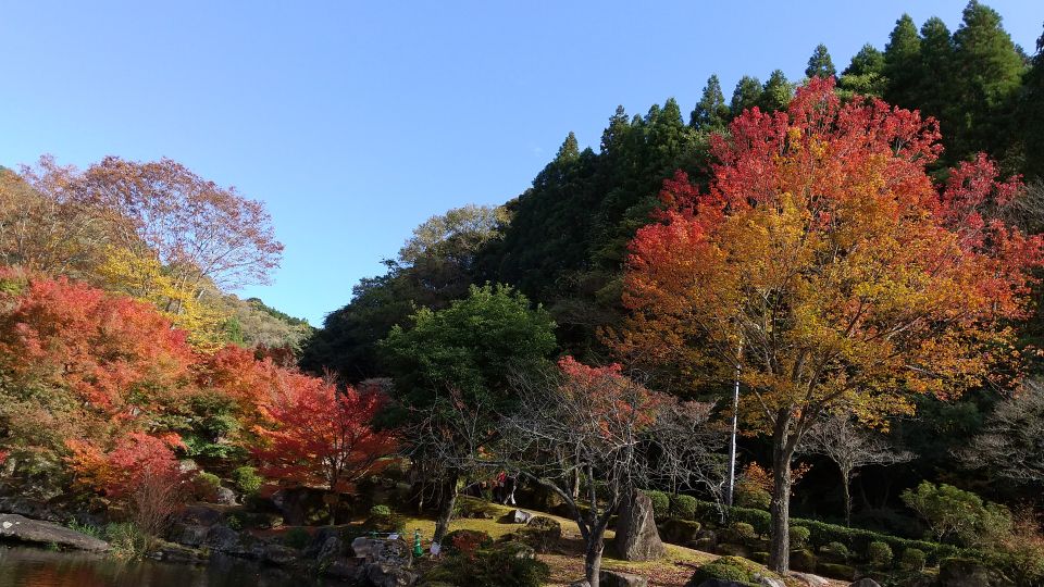 中津ダム渓石園 (12).jpg