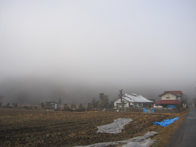 20140117朝.JPG