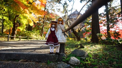 南禅寺 参道（永観堂方面）　紅葉 陽菜&えりちゃん3.jpg