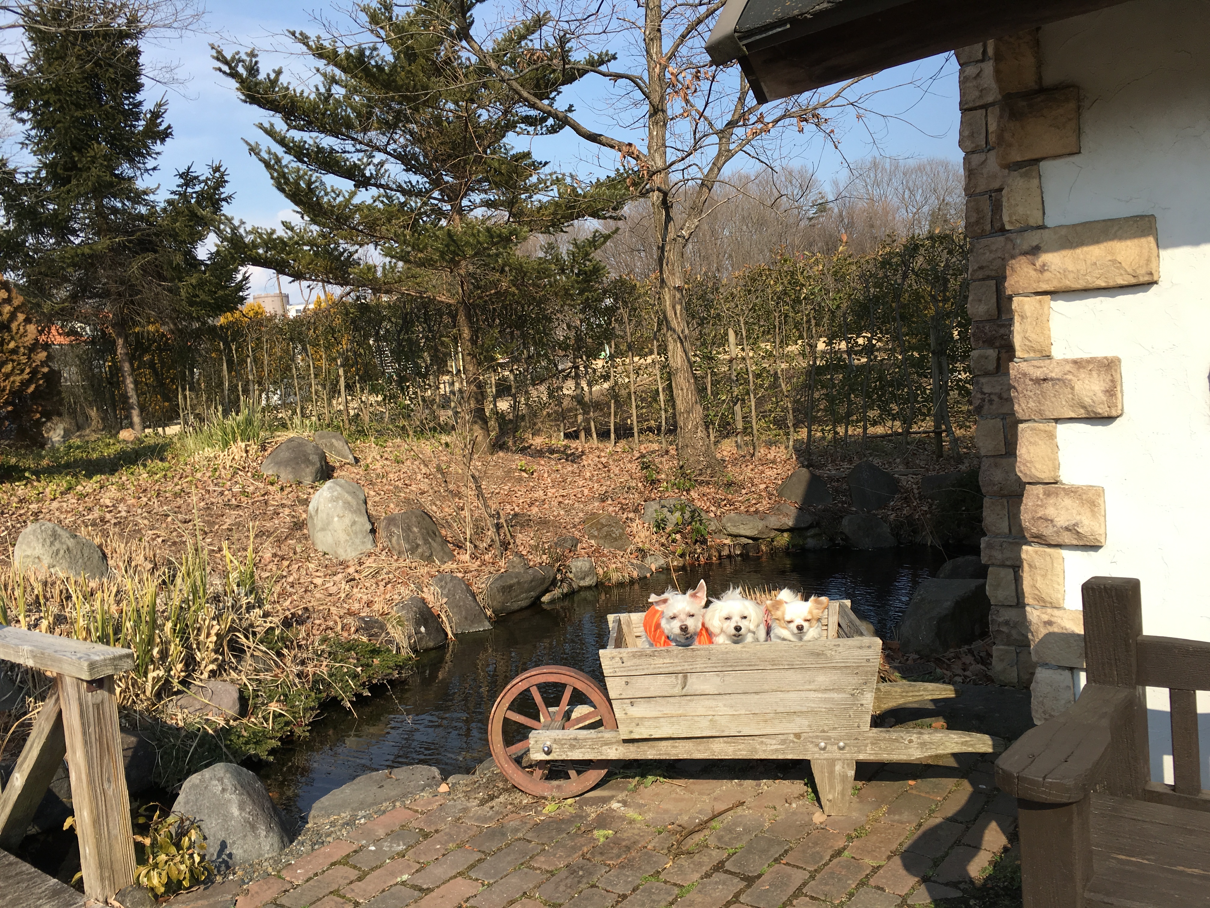 201602092300_4027_iphone.jpg