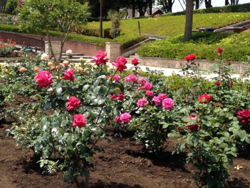 IMG_9047 (640x480).jpg