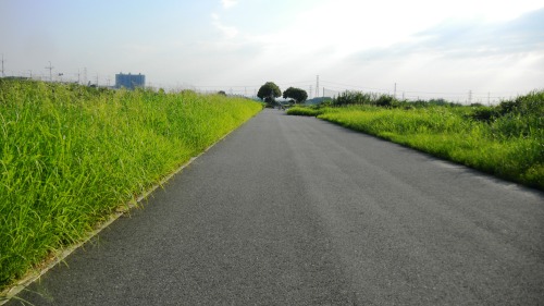 077淀川自転車道.JPG