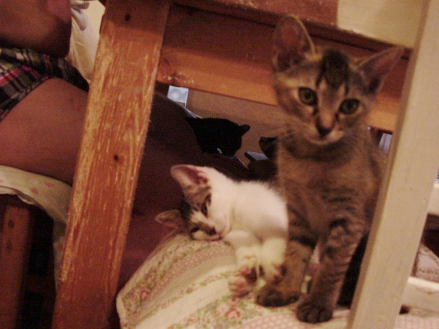 DSC09028.JPG