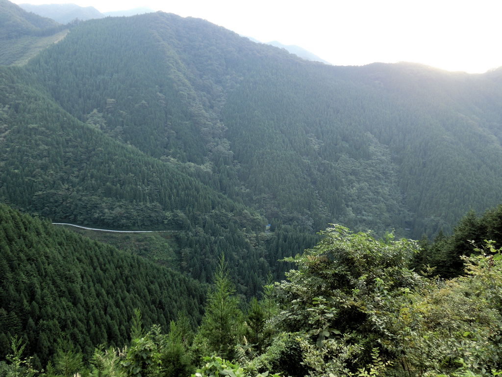 20110925-15.jpg