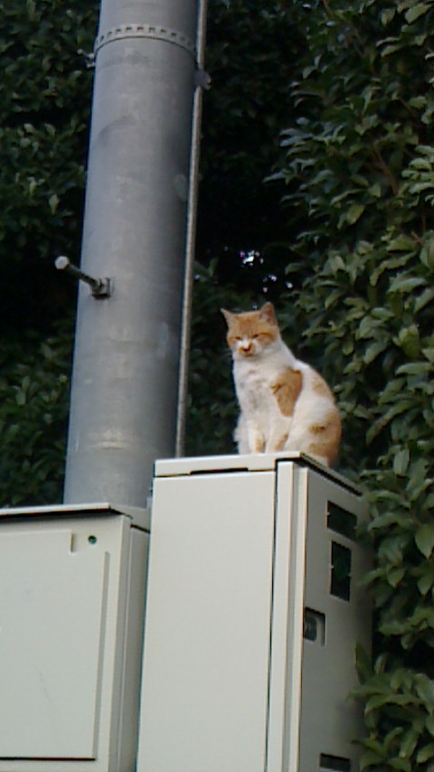 NEC_0152.JPG