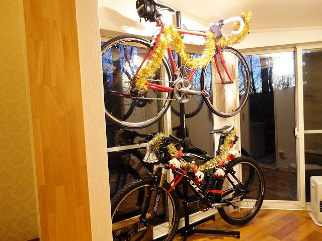 161201bicycle.jpg