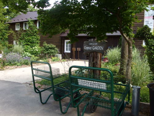 2015-06-10 13.27.56.jpg