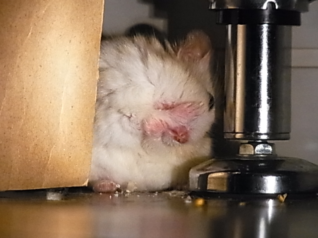 2014_06060156.JPG