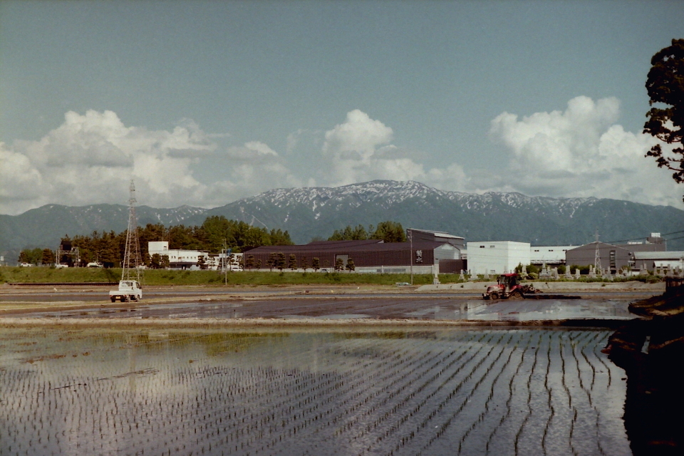 PICT0007 s.JPG
