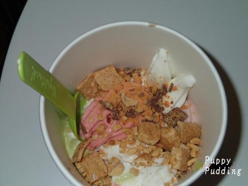 yogurt land2.JPG