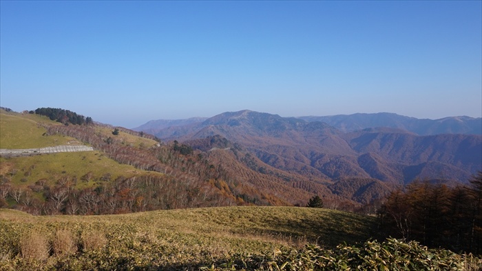 20151022 07432201.jpg