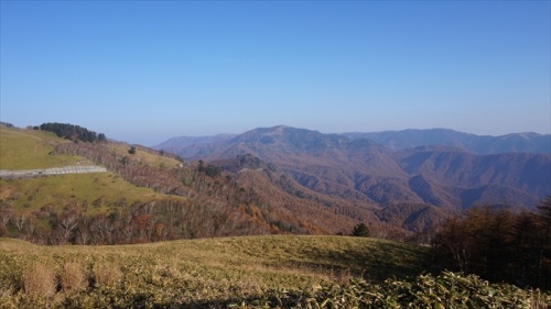 20151022 07432201.jpg