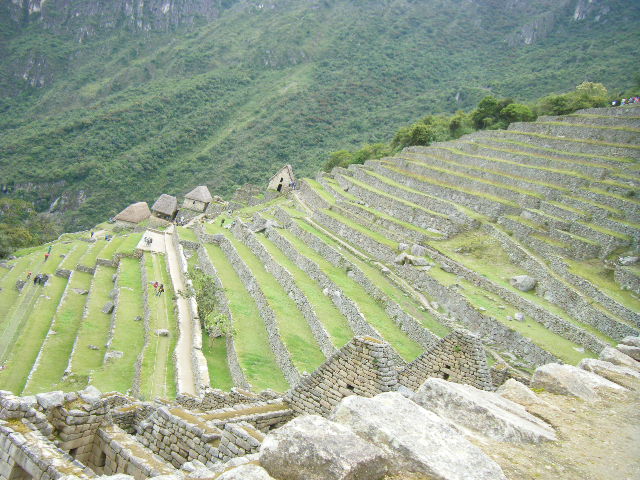 マチュピチュ遺跡段々畑 (16).JPG