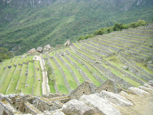マチュピチュ遺跡段々畑 (16).JPG