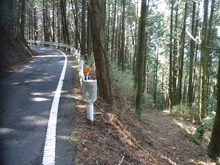 P4180818.jpg