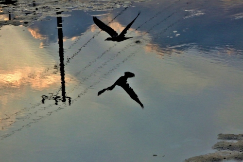 B97A5175 (1024x683).jpg