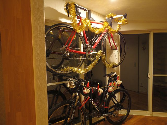 151201bicycle.jpg